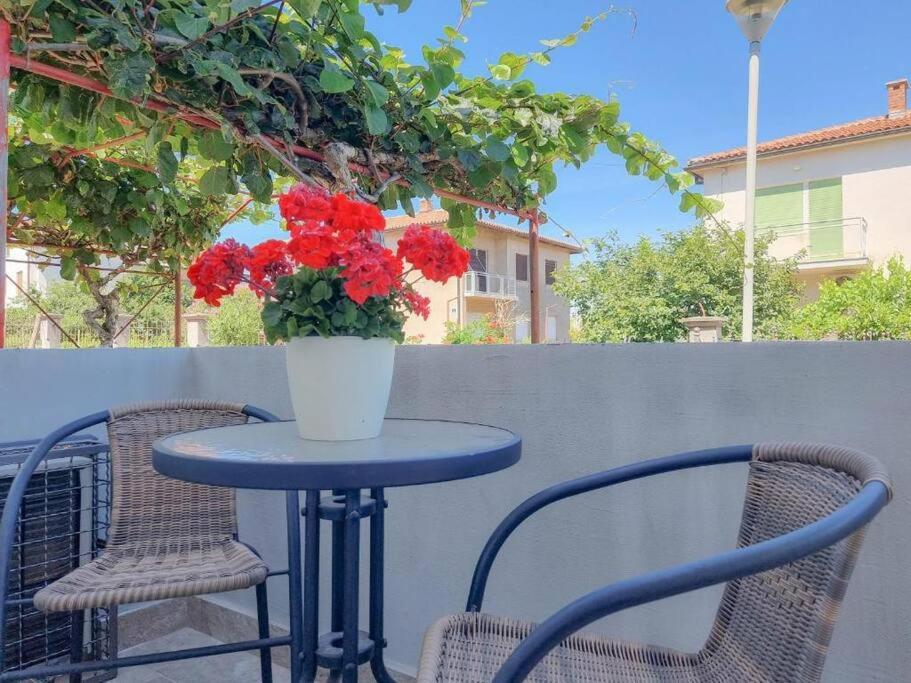 Ferienwohnung App Racy Umag Exterior foto